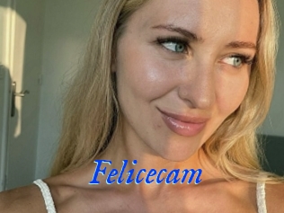 Felicecam