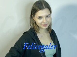 Felicegaler