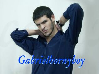 Gabrielhornyboy