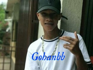 Gohanbb