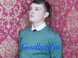 Goodboyelin