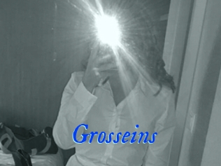 Grosseins