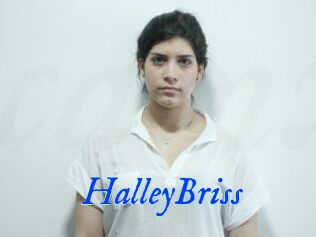 HalleyBriss