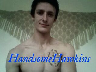 HandsomeHawkins