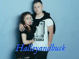 Halleyandbuck