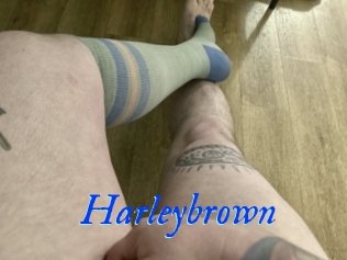 Harleybrown