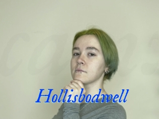 Hollisbodwell