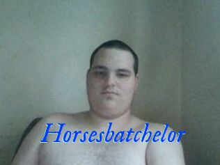 Horsesbatchelor