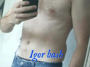 Igor_bash