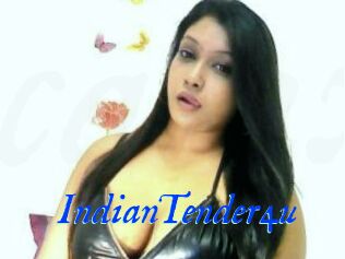 IndianTender4u