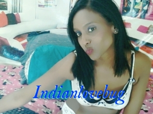 Indianlovebug