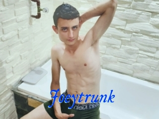 Joeytrunk