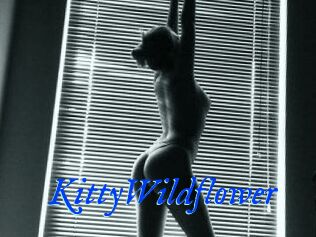 KittyWildflower