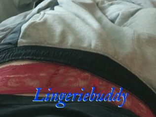 Lingeriebuddy