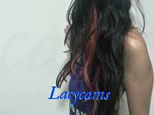 Lacycams