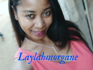 Laylahmorgane