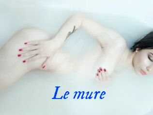 Le_mure