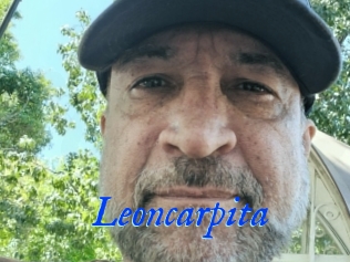 Leoncarpita