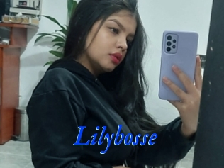 Lilybosse