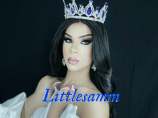 Littlesamm