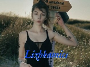 Lizhkamics