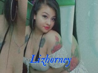 Lizhorney