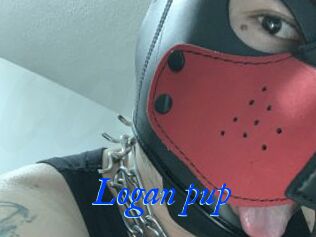 Logan_pup