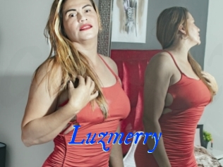 Luzmerry