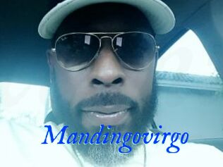 Mandingovirgo