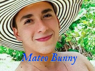 Mateo_Bunny