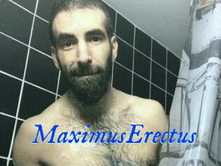 MaximusErectus