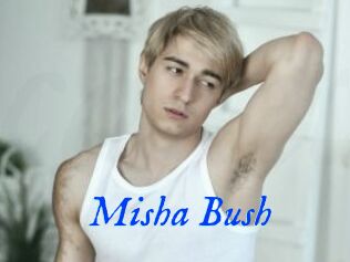 Misha_Bush