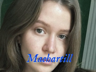 Maehartill