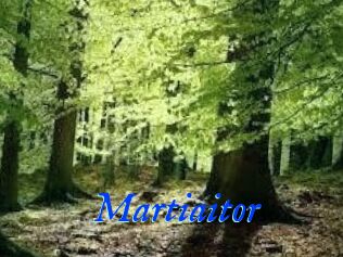 Martiaitor