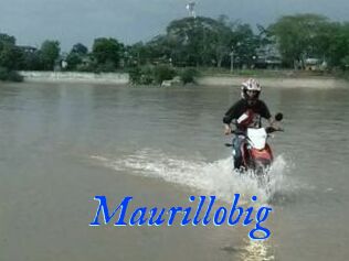 Maurillobig