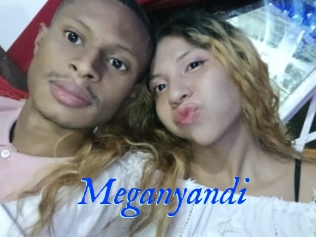 Meganyandi