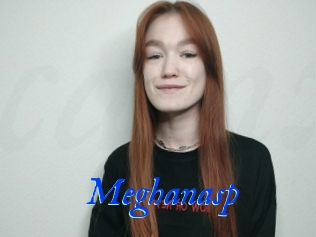 Meghanasp