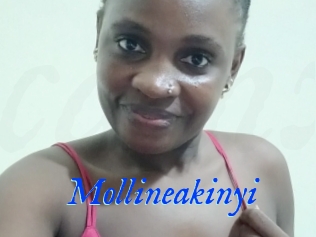 Mollineakinyi