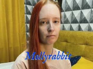 Mollyrabbit