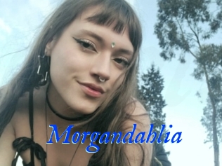 Morgandahlia