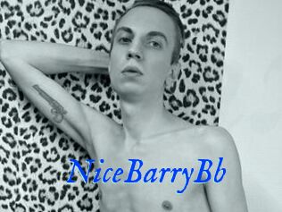 NiceBarryBb