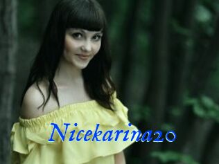 Nicekarina20