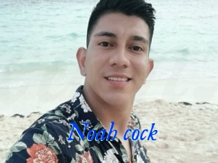 Noah_cock