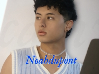 Noahdupont