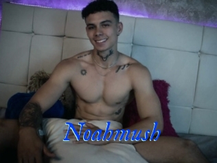 Noahmush