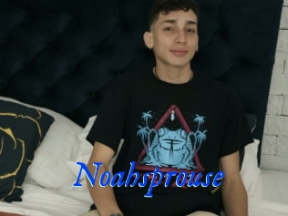 Noahsprouse