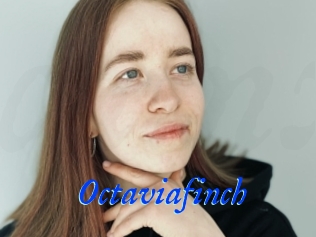 Octaviafinch