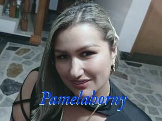 Pamelahorny