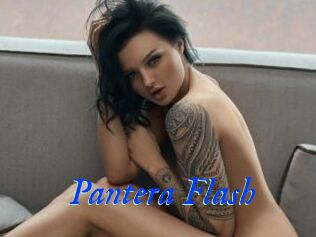 Pantera_Flash