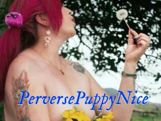 PerversePuppyNice